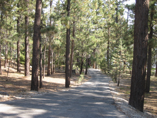 Driveway down to Property