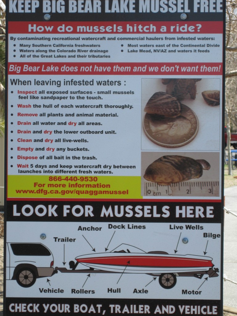 quagga-mussel-sign